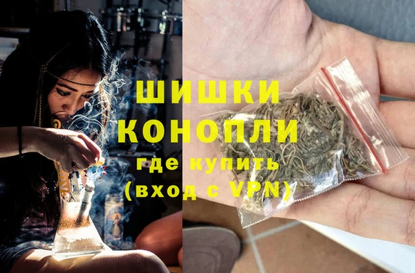 молекула духа Лагань