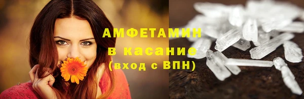 PSILOCYBIN Липки