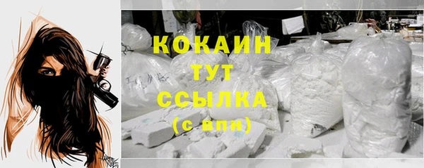 PSILOCYBIN Липки