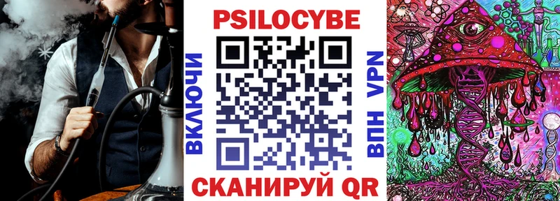 Галлюциногенные грибы Psilocybine cubensis  Купить  Белокуриха 